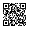 QR Code (код быстрого отклика)