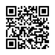 QR Code (код быстрого отклика)