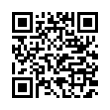 QR Code (код быстрого отклика)