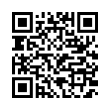 QR Code (код быстрого отклика)