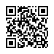 QR Code (код быстрого отклика)