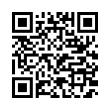 QR Code (код быстрого отклика)