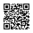 QR Code (код быстрого отклика)