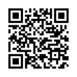 QR Code (код быстрого отклика)