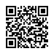 QR Code (код быстрого отклика)