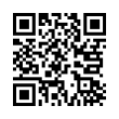 QR Code (код быстрого отклика)