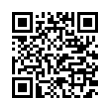 QR Code (код быстрого отклика)