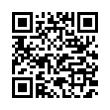 QR Code (код быстрого отклика)