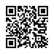 QR Code (код быстрого отклика)