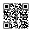 QR Code (код быстрого отклика)