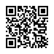 QR Code (код быстрого отклика)