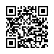 QR Code (код быстрого отклика)