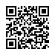 QR Code (код быстрого отклика)