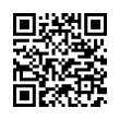 QR Code (код быстрого отклика)