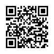 QR Code (код быстрого отклика)