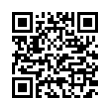 QR Code (код быстрого отклика)