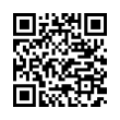 QR Code (код быстрого отклика)