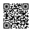 QR Code (код быстрого отклика)