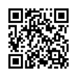 QR Code (код быстрого отклика)