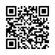 QR Code (код быстрого отклика)