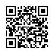 QR Code (код быстрого отклика)