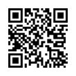 QR Code (код быстрого отклика)