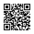 QR Code (код быстрого отклика)