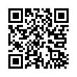 QR Code (код быстрого отклика)