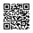 QR Code (код быстрого отклика)