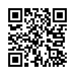 QR Code (код быстрого отклика)