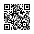 QR Code (код быстрого отклика)