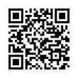 QR Code (код быстрого отклика)