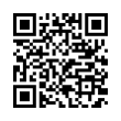 QR Code (код быстрого отклика)