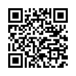 QR Code (код быстрого отклика)