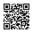 QR Code (код быстрого отклика)