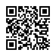 QR Code (код быстрого отклика)