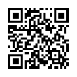 QR Code (код быстрого отклика)