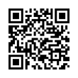 QR Code (код быстрого отклика)