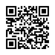 QR Code (код быстрого отклика)