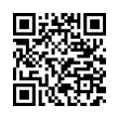 QR Code (код быстрого отклика)