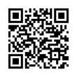 QR Code (код быстрого отклика)