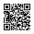 QR Code (код быстрого отклика)