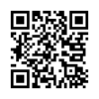 QR Code (код быстрого отклика)