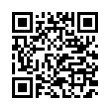 QR Code (код быстрого отклика)