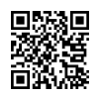 QR Code (код быстрого отклика)