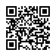 QR Code (код быстрого отклика)