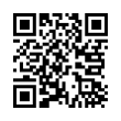 QR Code (код быстрого отклика)