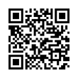 QR Code (код быстрого отклика)