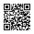 QR Code (код быстрого отклика)