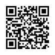 QR Code (код быстрого отклика)